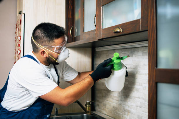 Best Residential Pest Control  in Frankfort Square, IL