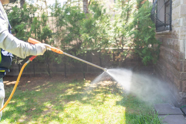 Best Commercial Pest Control Services  in Frankfort Square, IL