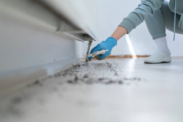Best Best Pest Control Companies  in Frankfort Square, IL