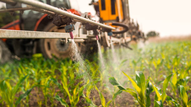 Best Commercial Pest Control Services  in Frankfort Square, IL